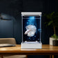 Kampffisch-Aquarium mit 7-farbiger LED-Beleuchtung